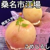 こめじるし＋ぽんぽこ