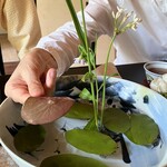 ぬなわや - じゅんさいの葉っぱ、裏はぬるぬる