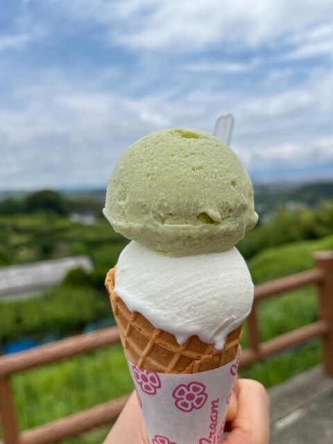 おおむら夢ファームシュシュ アイス工房 - 松原/ジェラート・アイス
