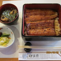 鰻割烹 伊豆栄 本店 - 鰻重　梅
