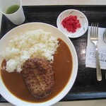 オリエンタルカレー - ハンバーグカレー・中辛