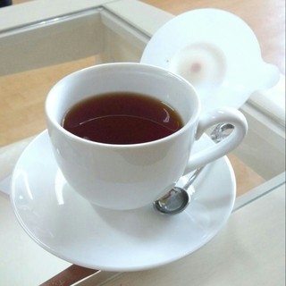 猫カフェ ねこ会議_0