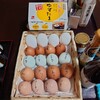 鳥春 - 