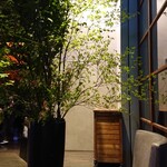 XEX 日本橋 Salvatore Cuomo Bros. - 