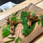 赤坂おぎ乃 - 天竜川　鮎　胡瓜　蓼