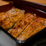 かぼちゃのたね - 