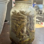 タカリ バンチャ ガル - 