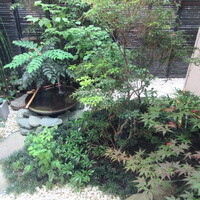 日本料理 TOBIUME - 坪庭