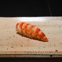 鮨 西崎 - 車海老