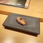 寿し肴 菊屋 - 甘海老