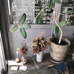 ニシパン - この観葉植物…何ていう木だろ…好きだな♡