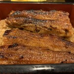 うなぎの豊川 - 