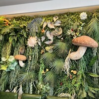 Shangri-La’s secret 表参道店 - 