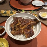うなぎ和食  しら河 今池ガスビル店 - 