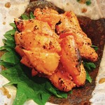 居酒屋 志華 - 