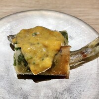 霜止出苗 - 
