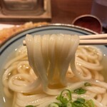 香川 一福 神田店 - 中太でもちもちの麺