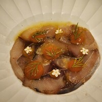 macua - 