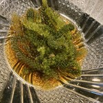 すし おおまさ - 海ぶどう