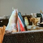 酒ト魚 きんぎょ - 