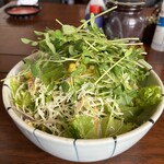 仁亭 - 2人でも食べきれないサラダ