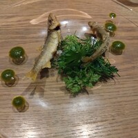 RESTAURANT SALT - 