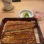 宮川本廛 赤坂宮川 - 鰻重　は