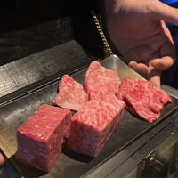 HIKARI - 