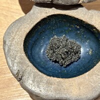 bb9 - 