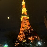 タワシタ - 
