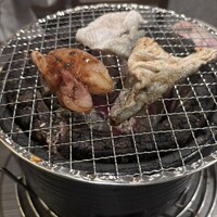 とらふぐ城 - 