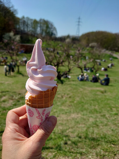 Hiraoka Ume Honpo photo 3