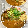 本格スパイスカレー ヤドカリー 谷町天満橋コーラ本店