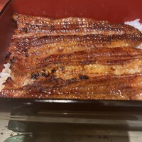 うなぎ 目白ぞろ芽 - 