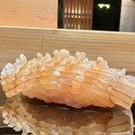 鮨がみ - 2024.5.  白烏賊
