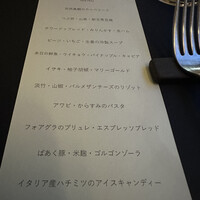 セルサルサーレ - 