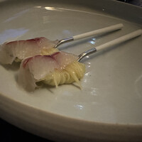 セルサルサーレ - 