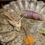 馳走 啐啄一十  - 