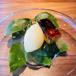 Duesta - 緑が涼しげな器