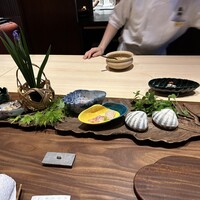 弧柳 - 