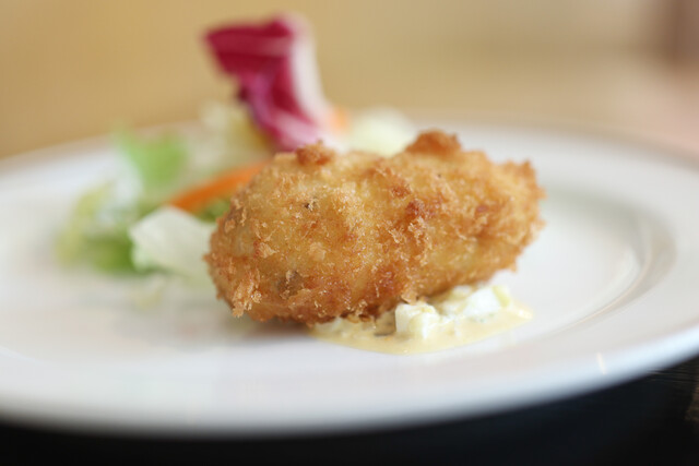 Yoshoku Hanano Yu photo 2