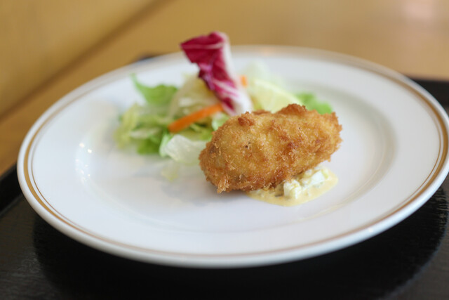 Yoshoku Hanano Yu photo 5