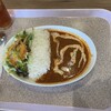 ロイヤルカリー カインズホーム鶴ヶ島店