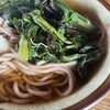 金太郎茶屋 - 山菜そば