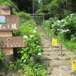 手打そば　いしやま - チョット早かった･･かな？