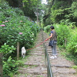 手打そば　いしやま - 忠犬も･･･散策？