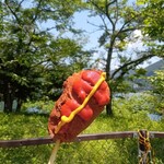 大麦代駐車場売店 - アメリカンドッグ