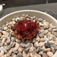 CIRPAS - 