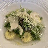 anchoa - 