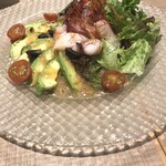 オステリア・ハミング・バード - 